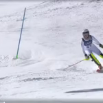 alice padilha milão-cortina